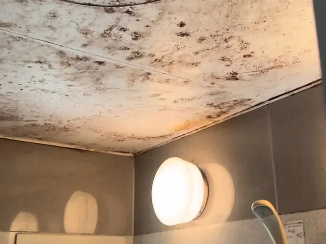 湯垢、石ケンかす、皮脂汚れ、カビの汚れなど手に負えないところをキレイにします！サービスの画像