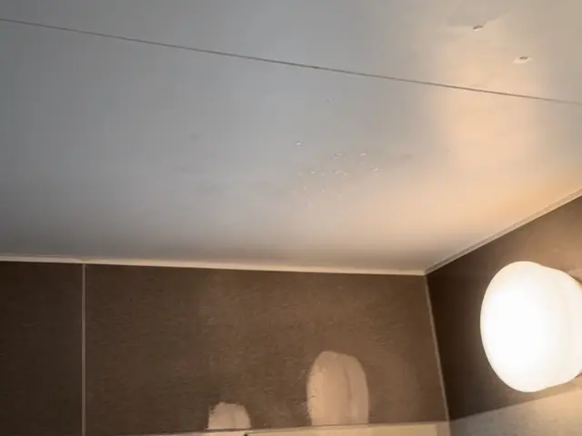 湯垢、石ケンかす、皮脂汚れ、カビの汚れなど手に負えないところをキレイにします！サービスの画像