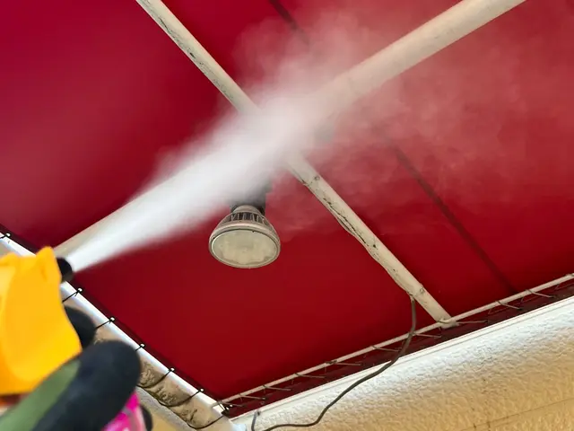 巣を見つけたらすぐご連絡下さい！★ 見積は無料ですサービスの画像