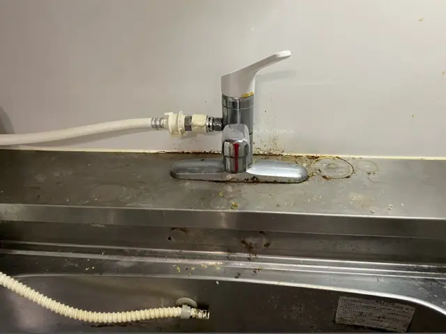 ☆最安値☆ 女性ならではの細かい作業は、お任せ下さい！気になる所は何度でもお掃除サービスの画像