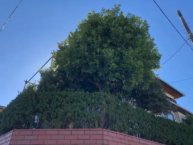 《創業30年の園芸店》経験豊富な匠がお伺い！安心の完全自社対応サービスの画像