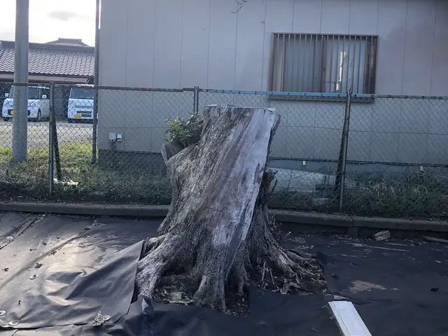 《創業30年の園芸店》経験豊富な匠がお伺い！安心の完全自社対応サービスの画像