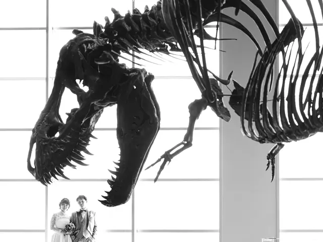 【3月空きあり】親しみやすいカメラマンがおふたりらしい写真を残します♪