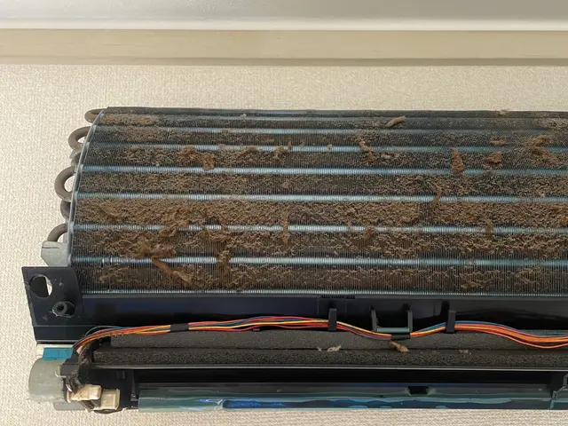 【国家資格ハウスクリーニング技能士が訪問】○非喫煙者○安心○丁寧☆抗菌サービス☆サービスの画像