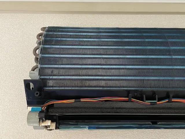 【国家資格ハウスクリーニング技能士が訪問】○非喫煙者○安心○丁寧☆抗菌サービス☆サービスの画像