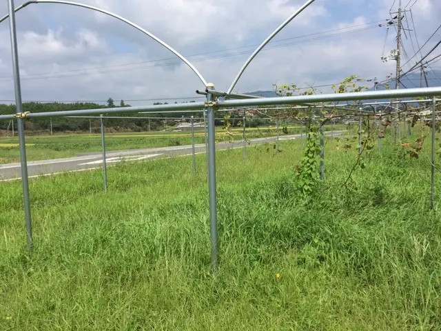 ◆羽生市発◆年中無休・土日祝もOK◆駐車代お店負担◆営業時間外も対応可能サービスの画像