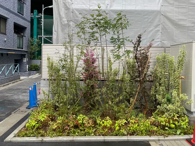 お庭に木を植えます！大きさや種類を打ち合わせして理想のお庭を目指しましょう！サービスの画像
