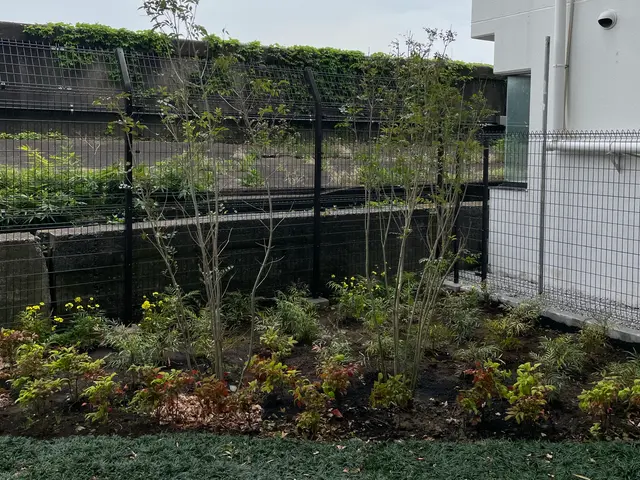 お庭に木を植えます！木の大きさや種類を打ち合わせして理想のお庭を目指しましょう！サービスの画像