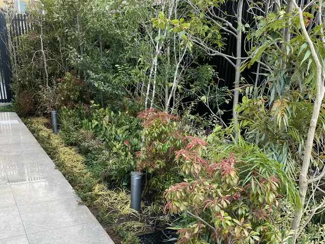 お庭に木を植えます！大きさや種類を打ち合わせして理想のお庭を目指しましょう！サービスの画像