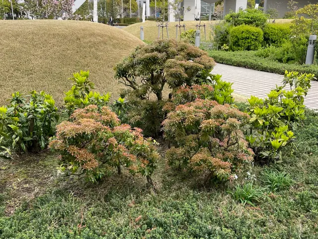 お庭に木を植えます！木の大きさや種類を打ち合わせして理想のお庭を目指しましょう！サービスの画像