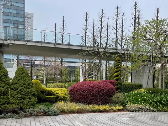 お庭に木を植えます！木の大きさや種類を打ち合わせして理想のお庭を目指しましょう！サービスの画像