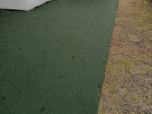 防草シート敷きサービスの画像