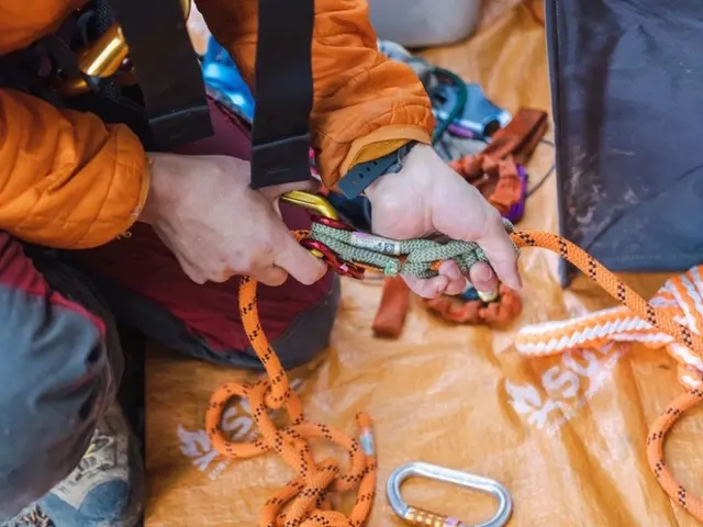 ◆3月、4月受付可能◆◇樹木のお悩み◇高木、狭い場所でもお任せ下さい！サービスの画像