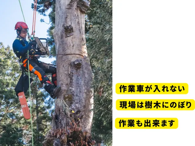 ◆3月、4月受付可能◆◇樹木のお悩み◇高木、狭い場所でもお任せ下さい！サービスの画像