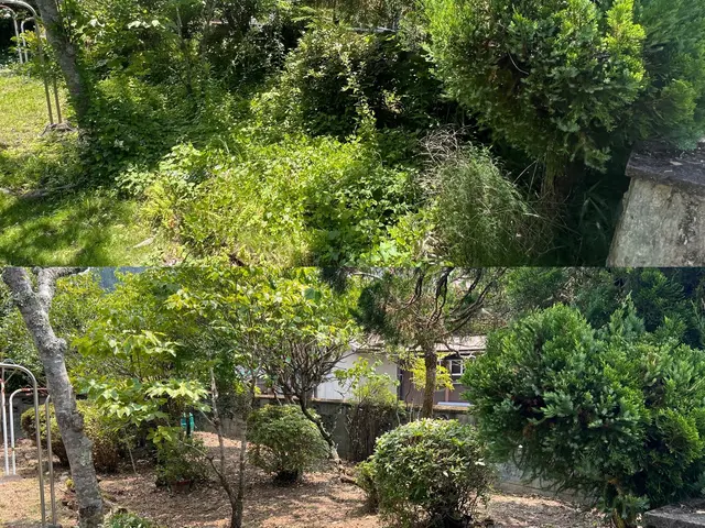 プロの技術でご満足いただけるように心を込めて作業いたしますサービスの画像