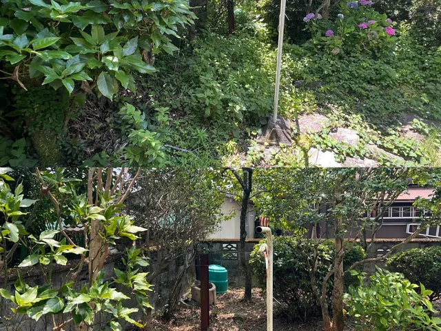 プロの技術でご満足いただけるように心を込めて作業いたしますサービスの画像