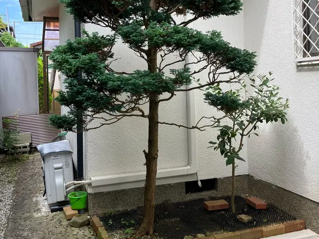 職人っぽくないフランクな対応が売りです！当日対応可能な伐採・伐根サービスサービスの画像