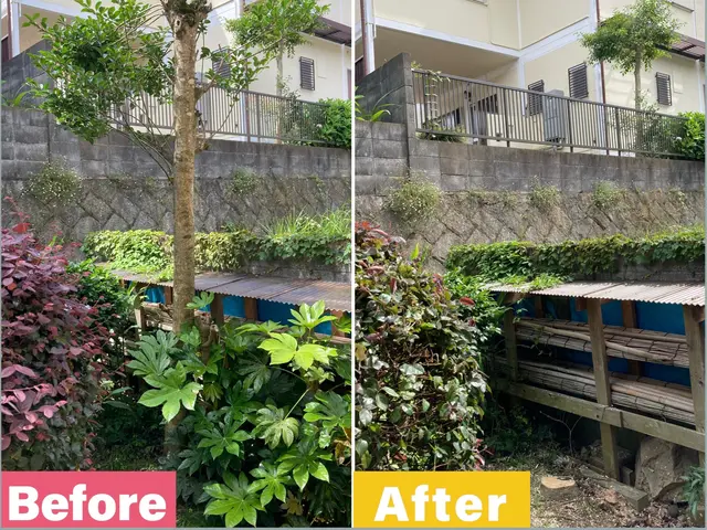 職人っぽくないフランクな対応が売りです！当日対応可能な伐採・伐根サービスサービスの画像