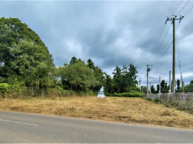 草刈まさお・大型ハンマーナイフモア・１時間で１０００㎡～なんて信じられます？サービスの画像