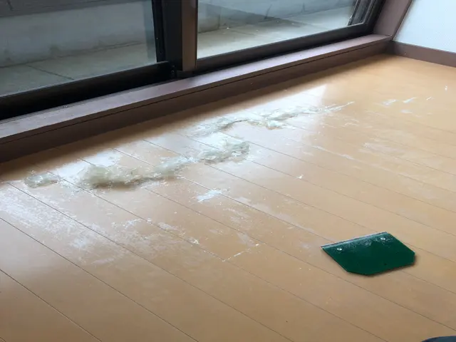 【不動産のプロ目線の清掃】大手不動産出身が細部までこだわる！女性スタッフ同行可◎サービスの画像