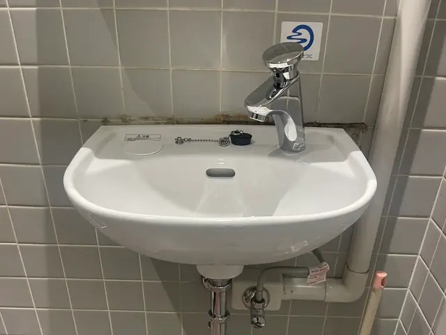 プロの技術でご満足いただけるように心を込めて作業いたしますサービスの画像