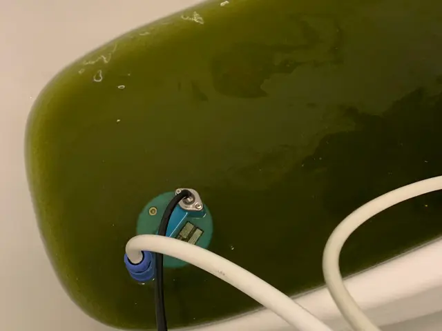 お風呂の配管の汚れを根こそぎ落とします！※損害保険加入済みサービスの画像