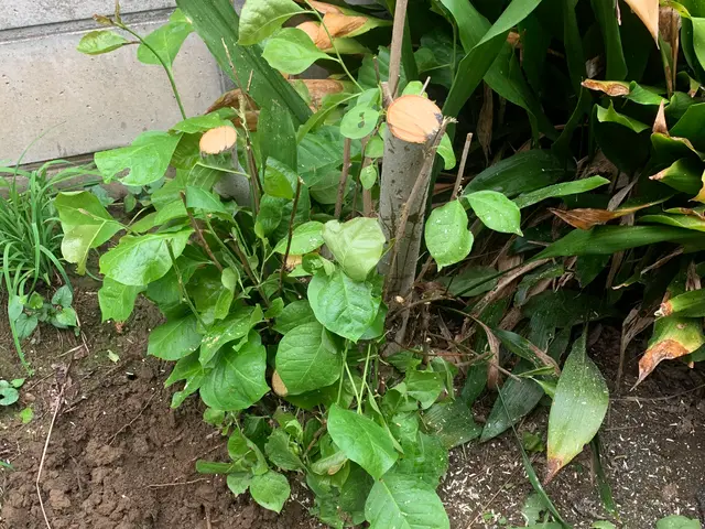 ★2022.23.24暮らしアワードで顧客満足度賞連続入選!★予約はお早めに！サービスの画像