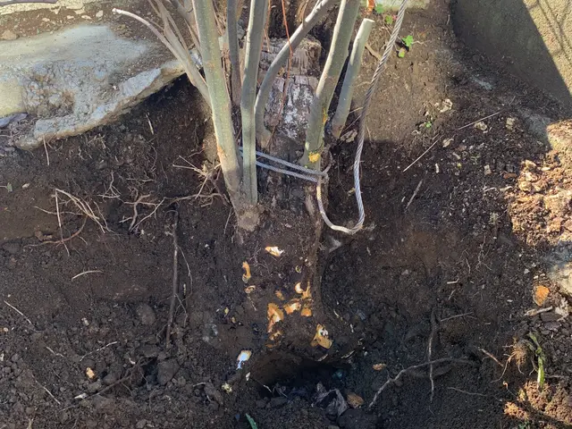 ★2022.23.24暮らしアワードで顧客満足度賞連続入選!★予約はお早めに！サービスの画像