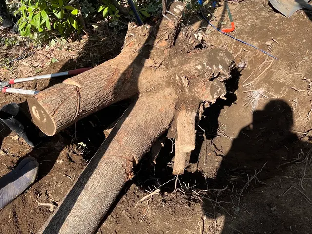 【顧客満足度賞3年連続入選】実績店舗!サービスの画像