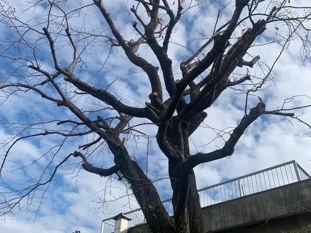 ★2022.23.24暮らしアワードで顧客満足度賞連続入選!★予約はお早めに！サービスの画像