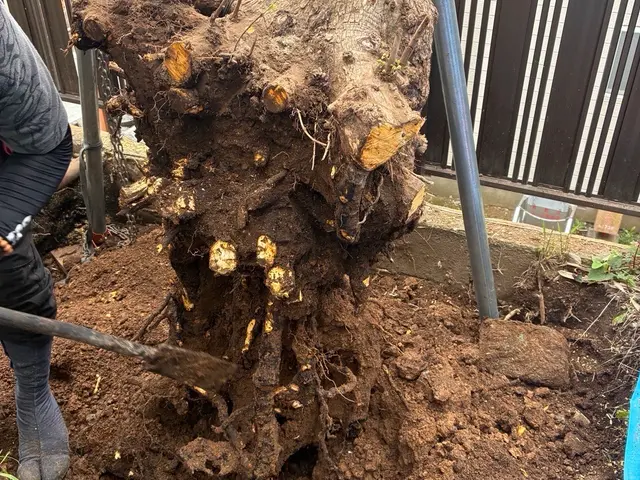 【顧客満足度賞3年連続入選】実績店舗!サービスの画像