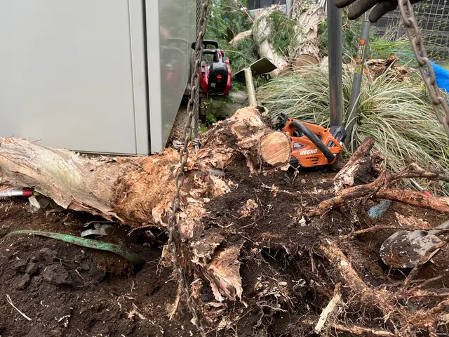 【顧客満足度賞3年連続入選】実績店舗!サービスの画像