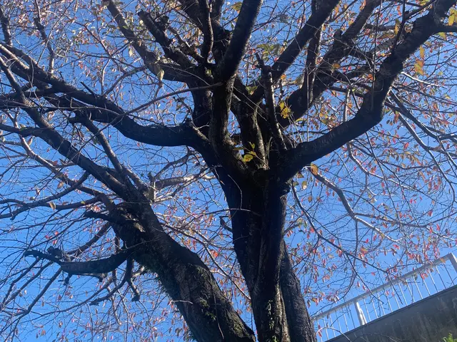 ★2022.23.24暮らしアワードで顧客満足度賞連続入選!★予約はお早めに！サービスの画像