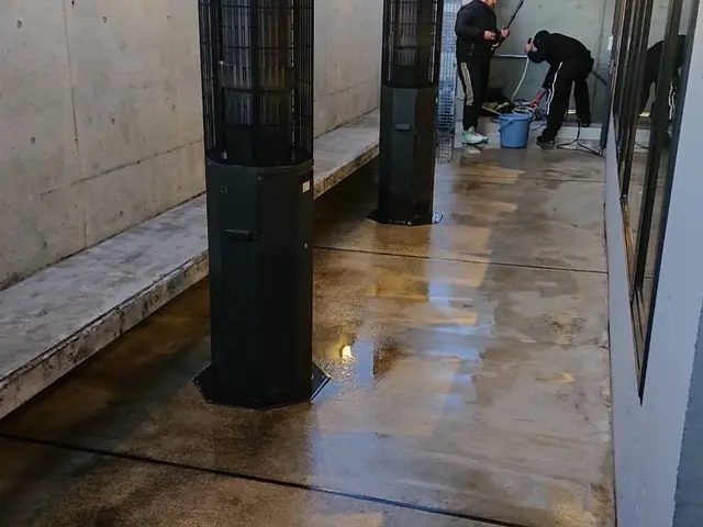 【10/23.24空きあり！】家を丸洗い！嫌なコケや、黒ずみ落とします!サービスの画像