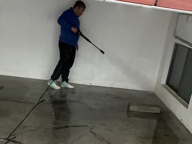 【10/23.24空きあり！】家を丸洗い！嫌なコケや、黒ずみ落とします!サービスの画像