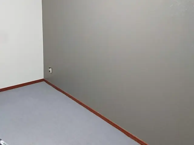 ☆消臭　防汚染塗料によるペットリフォーム☆サービスの画像