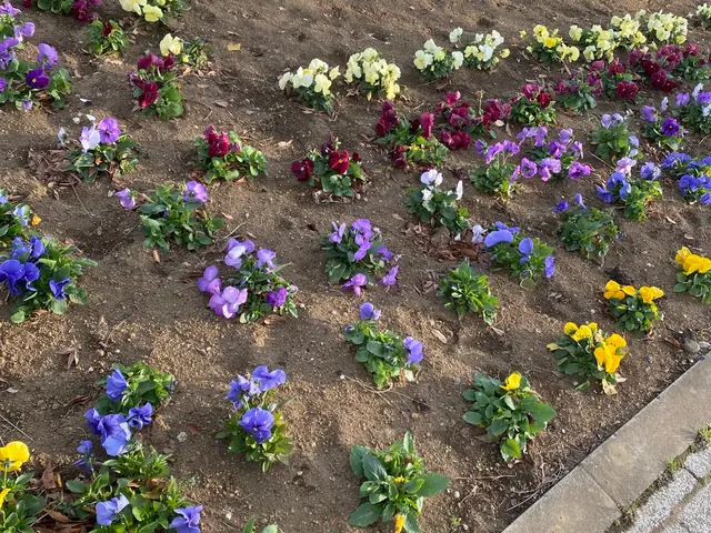 ご自宅の植物をまごころ込めて元気に！植物大好きな店長に是非お任せ下さい。サービスの画像
