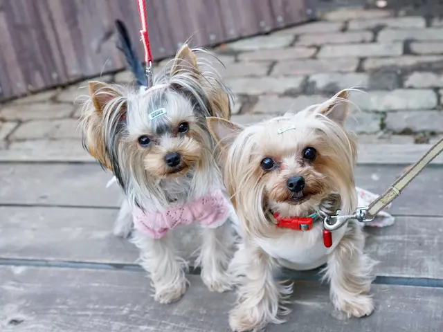 《PayPay支払い可》誕生日・LIVE・発表会etc！九州・山口対応サービスの画像