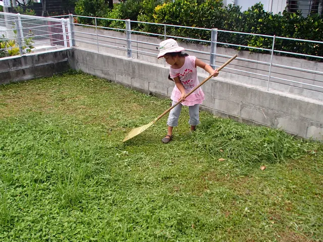 植木の剪定　刈り込みサービスの画像