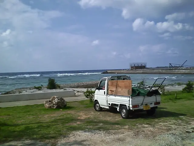 植木の剪定　刈り込みサービスの画像