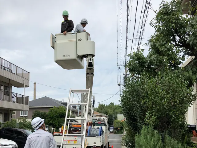 植木の剪定　刈り込みサービスの画像