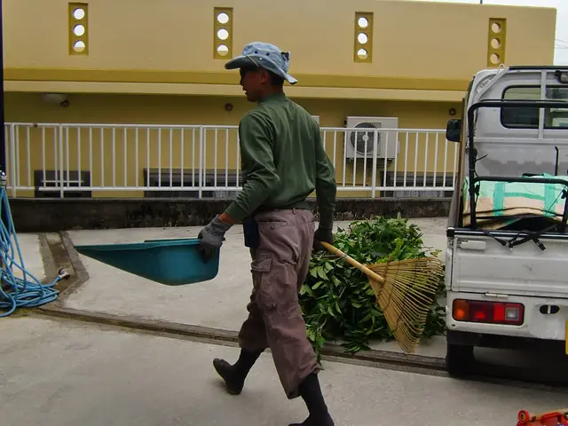 植木の剪定　刈り込みサービスの画像