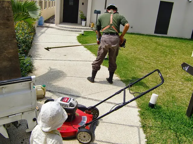 植木の剪定　刈り込みサービスの画像