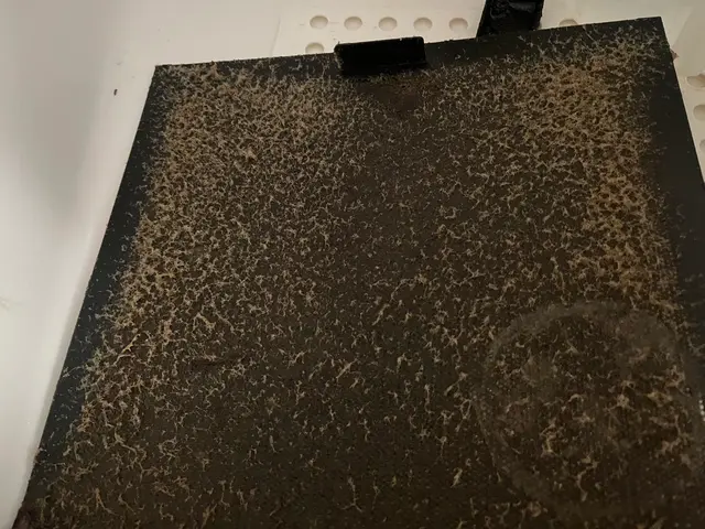 超お得☆【地域最安値挑戦中！】☆口コミにて過去のお声ご覧になれます！サービスの画像