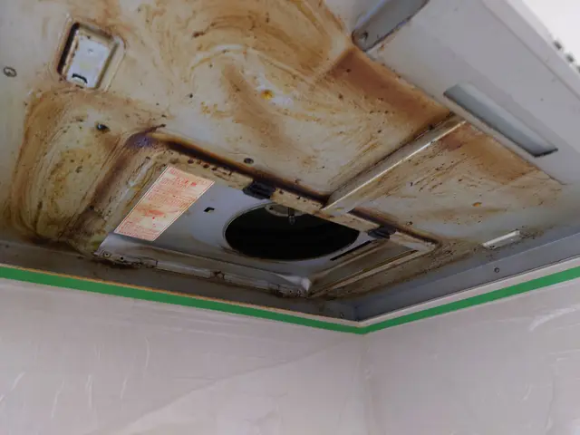 レンジフードの油汚れスッキリさせませんか？年末前に早めのお掃除！サービスの画像