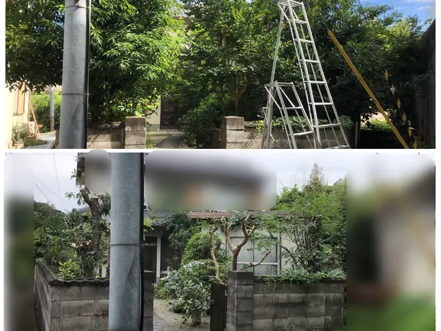 【奈良】【大阪】口コミ高評価、　　　　お庭を綺麗にスッキリしませんか？サービスの画像