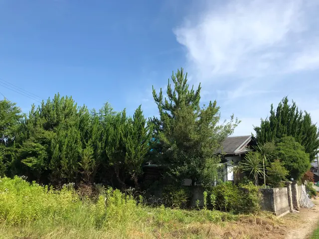 【奈良】【大阪】口コミ高評価、　　　　お庭を綺麗にスッキリしませんか？サービスの画像