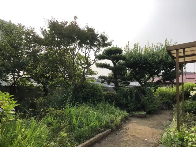 【奈良】【大阪】口コミ高評価、　　　　お庭を綺麗にスッキリしませんか？サービスの画像