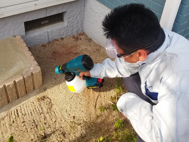 カメムシ駆除　専用の薬剤で施工致します。サービスの画像