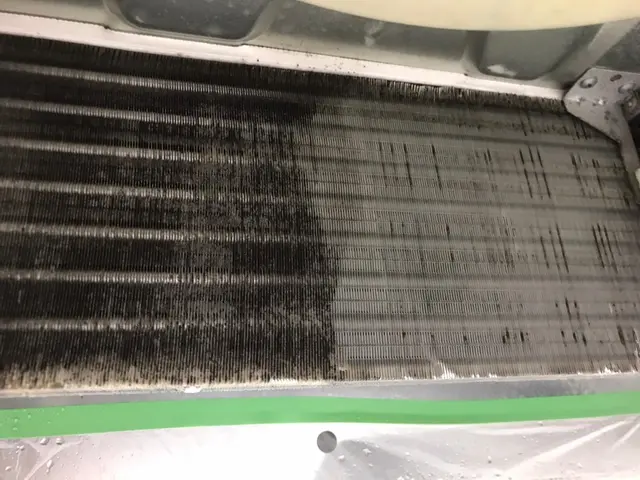 現在、シーズン真っ只中！少しでも気になったら、ご相談ください♪サービスの画像